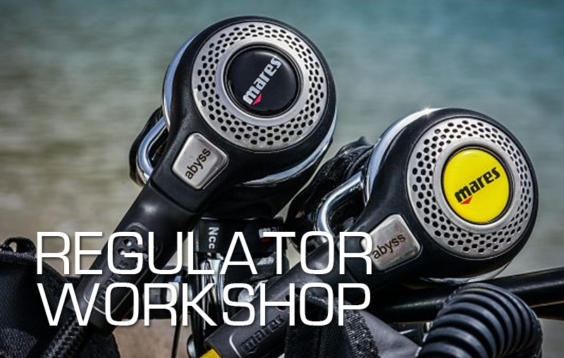 Regulator Workshop