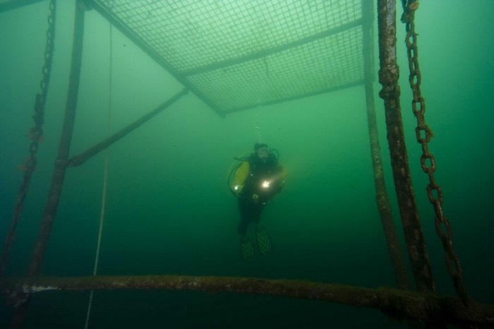 Zondag duiken Blauwe meer.
