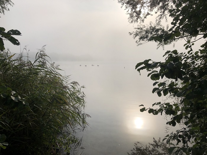 Dinsdagavondduik : Engelermeer (strand)