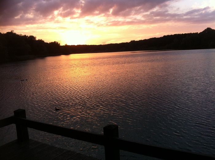 Dinsdagavondduik : Nionplas