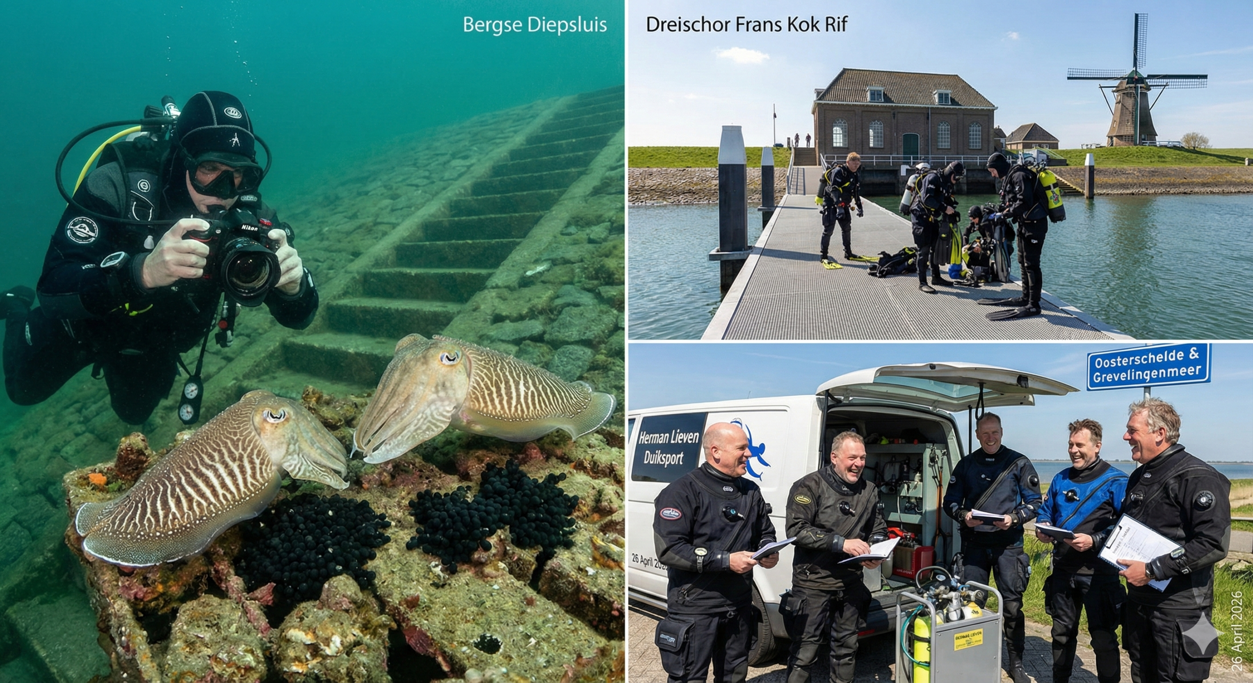 🤿 Duikteam Dagtrip: Sepia's Spotten & Kleurenpracht in de Grevelingen!